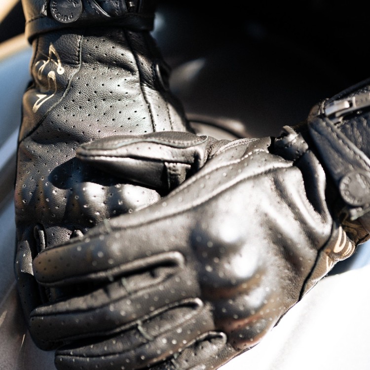 Monster  Lady Evo detail 6